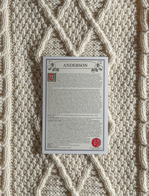 Anderson Clan Scarf – Bild 2